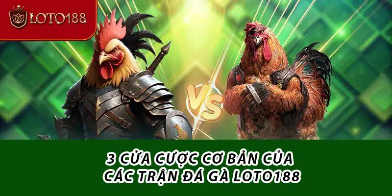 3 cửa cược cơ bản dành cho các trận đá gà Loto188