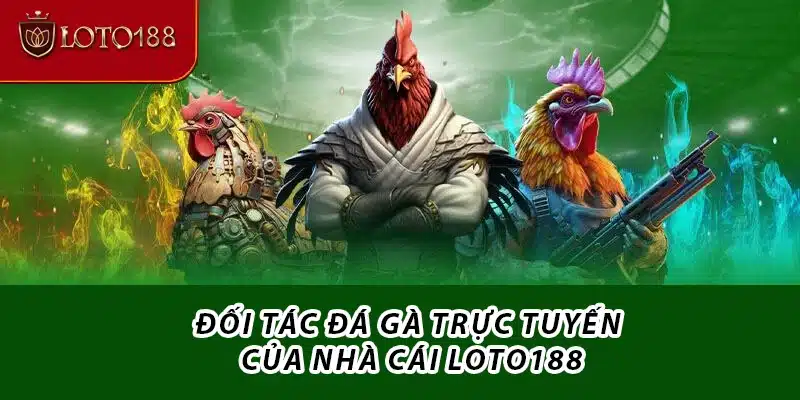 Đối tác đá gà trực tuyến của nhà cái Loto188