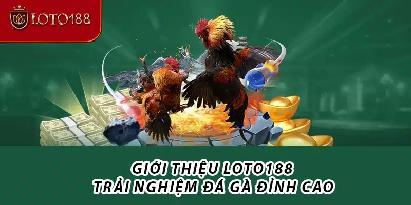 Giới thiệu Loto188 - Trải nghiệm đá gà đỉnh cao