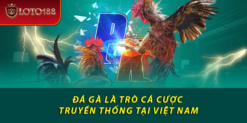 Đá gà là trò cá cược truyền thống tại Việt Nam