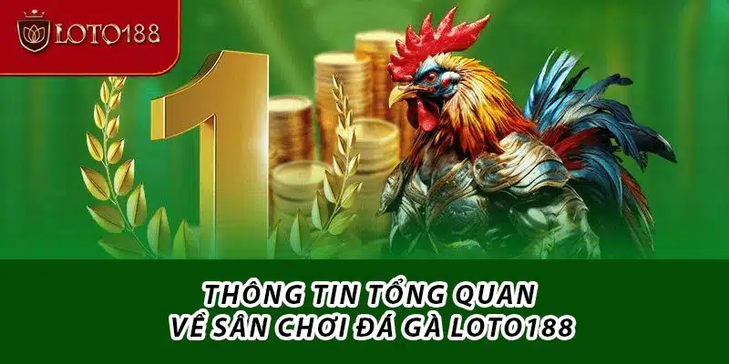 Thông tin tổng quan về sân chơi đá gà Loto188