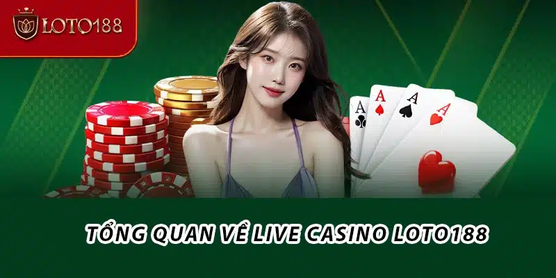 Tổng quan về Live casino Loto188